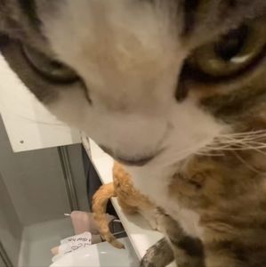 JUST MADE MY FIRST SALE💋